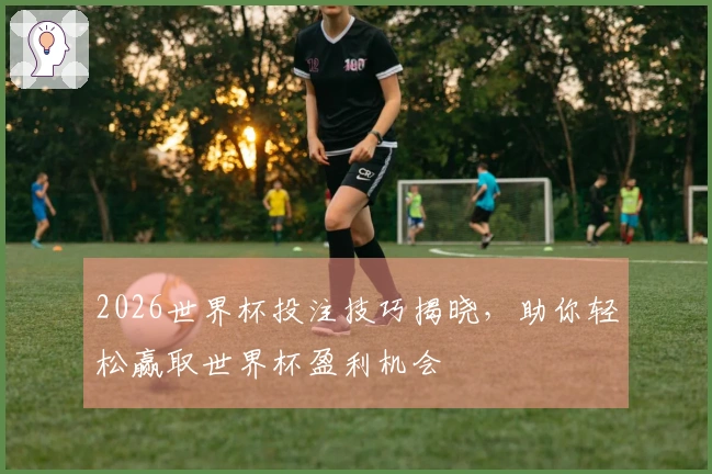 2026世界杯投注技巧揭晓，助你轻松赢取世界杯盈利机会