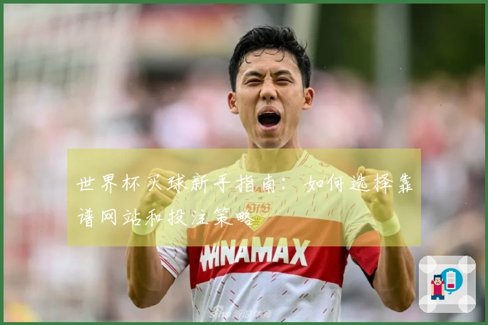 世界杯买球新手指南：如何选择靠谱网站和投注策略