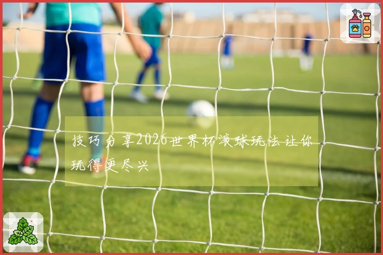 技巧分享2026世界杯滚球玩法让你玩得更尽兴