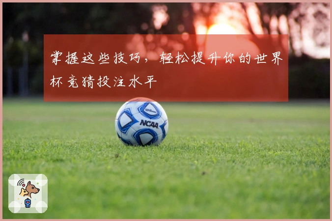 掌握这些技巧，轻松提升你的世界杯竞猜投注水平