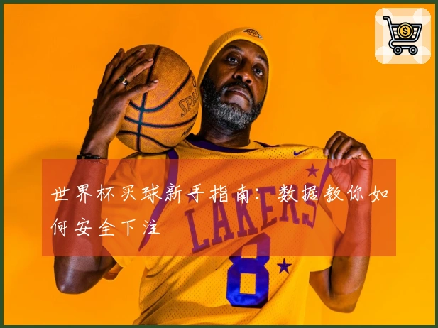 世界杯买球新手指南：数据教你如何安全下注