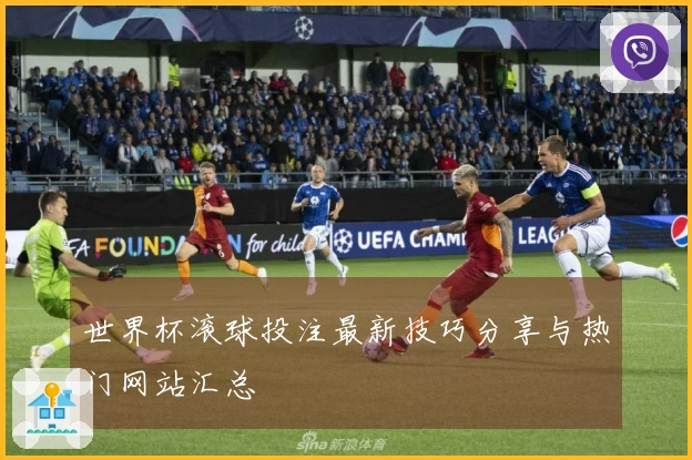 世界杯滚球投注最新技巧分享与热门网站汇总
