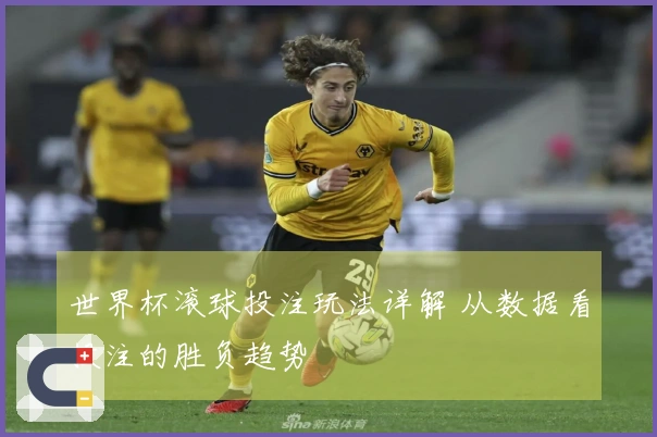 世界杯滚球投注玩法详解 从数据看投注的胜负趋势