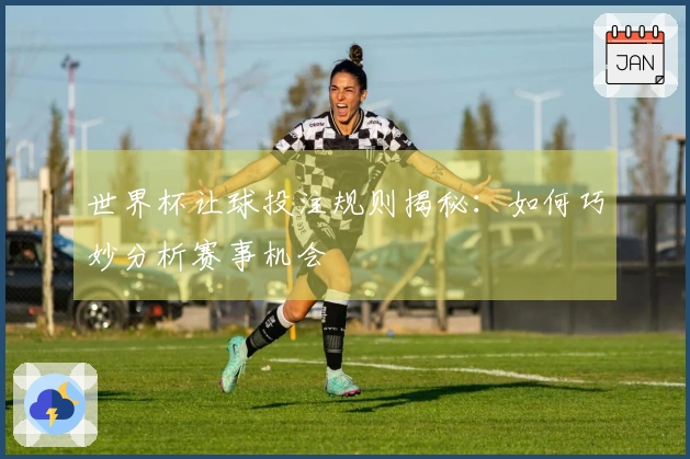 世界杯让球投注规则揭秘：如何巧妙分析赛事机会